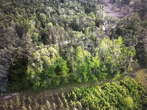 1-Acre on Rue Drive | Madison County | Pinetta, FL