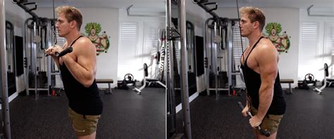 Triceps Rope Pushdown