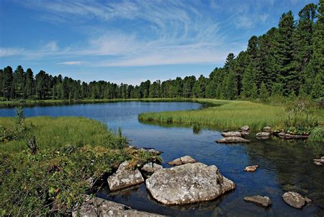 Taiga - Climate, Biodiversity, Coniferous | Britannica