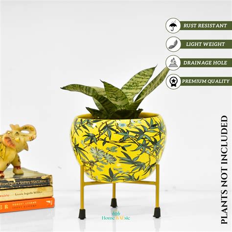 About Home BAEsic: One Stop Solutions For Indoor & Outdoor Decorative ...