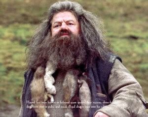Rubeus Hagrid Harry Potter Matt Finish Poster Paper Print - Movies ...