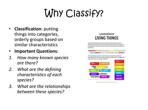 Image result for Classify
