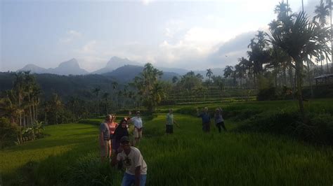 RAMEYZA WISATA INDONESIA (2025) All You Need to Know BEFORE You Go ...