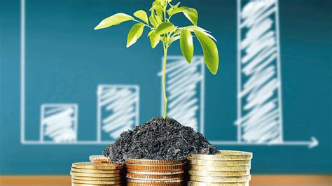 Rich foreigners will now get tax-free access to Indian MFs | Mint