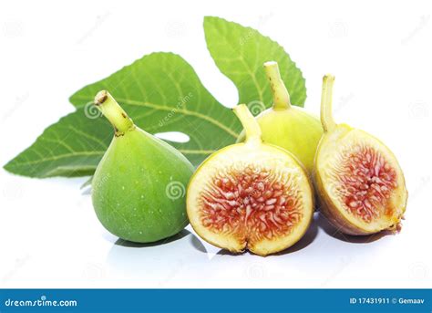 Figs Traducir Espanol at Kevin Davidson blog