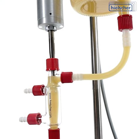 Ultrasonic Lysis: Step-by-Step Guide to Perfecting Cell Disruption ...