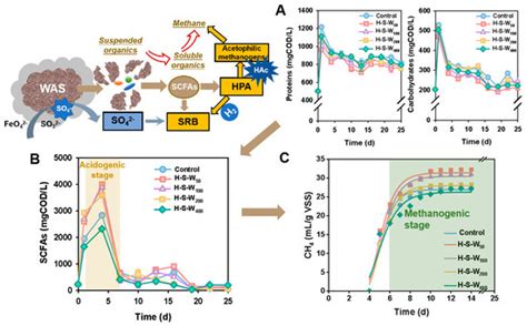 Fermentation | May 2024 - Browse Articles