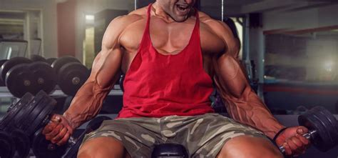 बाइसेप्स कर्ल वर्कआउट: एक्सरसाइज करने का सही तरीका, प्रकार, फायदे और ...