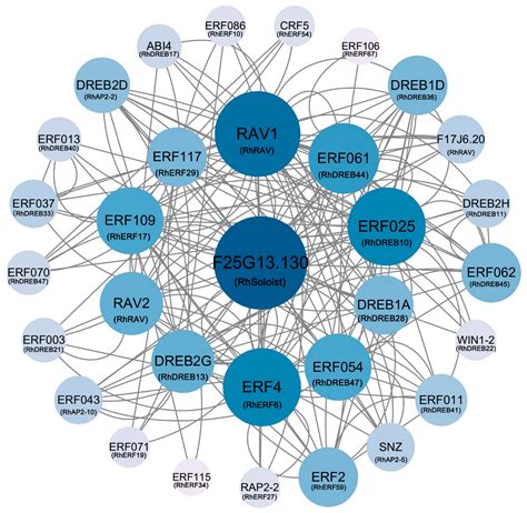 Genome-Wide Identification and Expression Analysis of the AP2/ERF ...