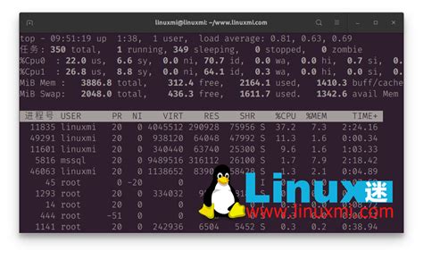 Explaining Linux Top 的图像结果