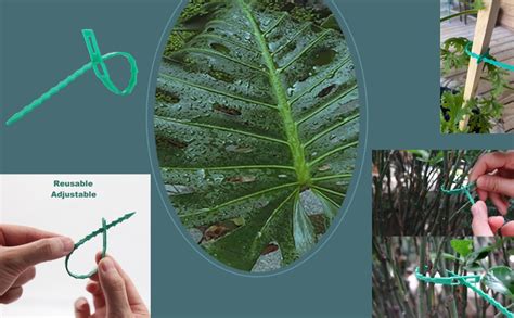 AstonAndia 60 PCS Plant Support for Climbers Plant Support Sticks Plant ...