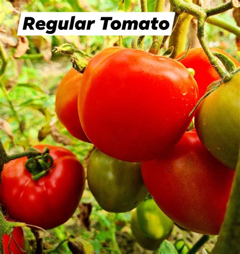 Farm Fresh Organics 的图像结果