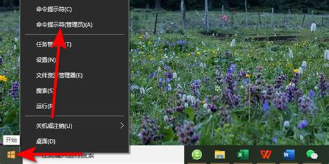 Window1microsoft Store 的图像结果