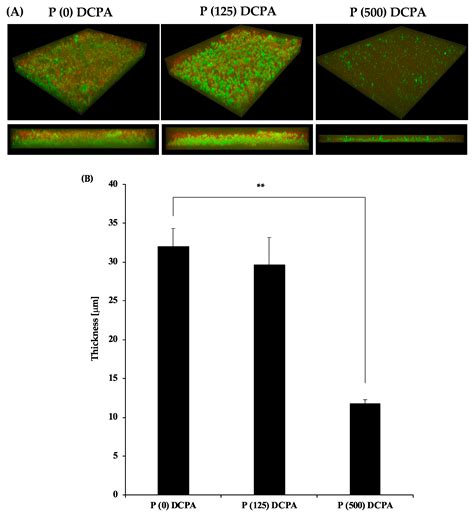 Antimicrobial Activity of Protamine-Loaded Calcium Phosphates against ...