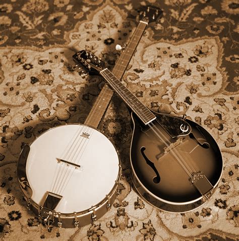 Image result for Folk String Instruments