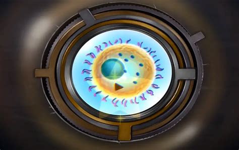 Image result for Trapmaker 2 Chapter 1 Note