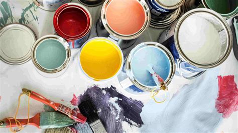 Image result for Paint Turtle Classification Key