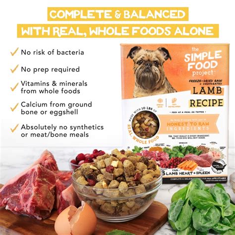 SIMPLE FOOD PROJECT 6-Pack Sample Bundle Freeze-Dried Dog Food, 6-oz ...