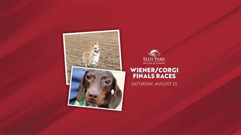 Ellis Park Wiener/Corgi Finals Races, 3300 US-41 N, Henderson, KY 42420 ...