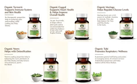 Maharishi Ayurveda Organic Brahmi - Bacopa Monnieri Tablets | For Brain ...