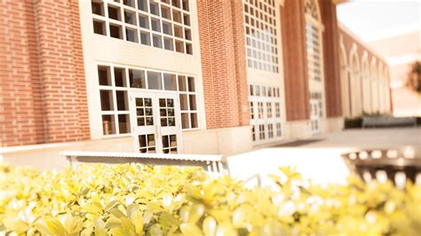 Image result for Lesson of Life Series