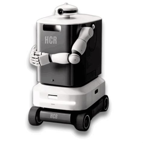 Humanoid Robotics 的图像结果