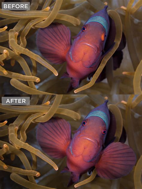 Compositing Tutorials 的图像结果