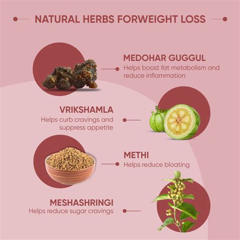 Buy Ayurvedic Weight Loss Medicine Online in India | Dr.Vaidya's