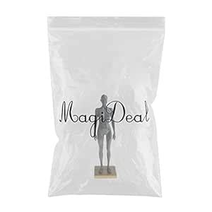 LOOM TREE® Female Anatomy Figure Superficial Muscle Anatomy Model Lab ...