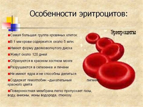 Эритроциты в моче у беременной: повышены, норма, причины