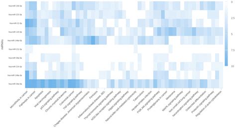 Large Language Models and Genomics for Summarizing the Role of microRNA ...