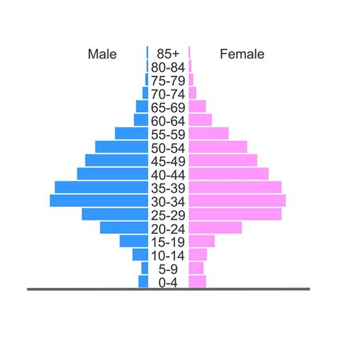 Population pyramid. Age structure diagram template. Example of ...