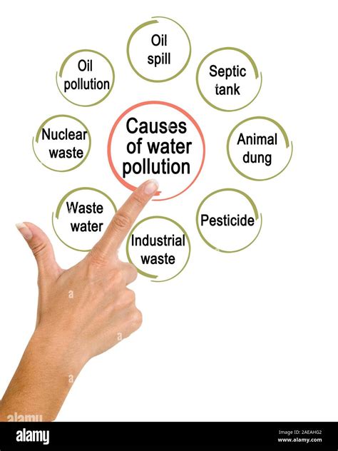 Main Causes Of Water Pollution