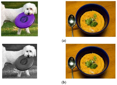 Deep Q Network Based on a Fractional Political–Smart Flower ...