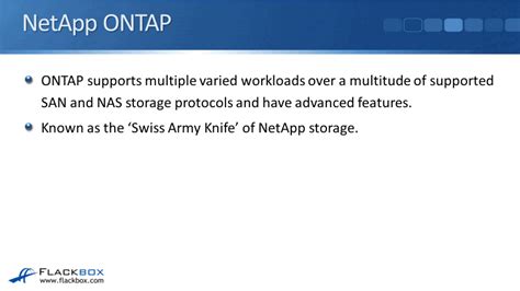 Image result for NetApp Ontap Network