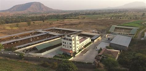 UA&D | URJA AGRO & DAIRY LLP