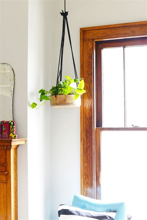 How to Hang Plants From the Ceiling