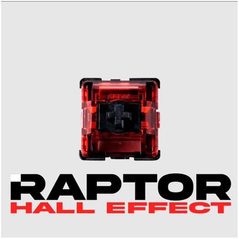 CasCam Gateron Lekker switches Wooting 60HE Lekker switches India | Ubuy