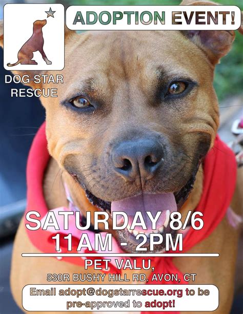 Dog Star Rescue Adoption Event | Canton, CT Patch