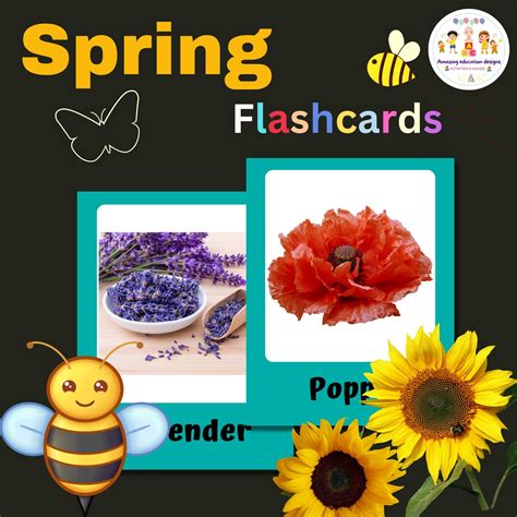 Spring FlashCards 的图像结果