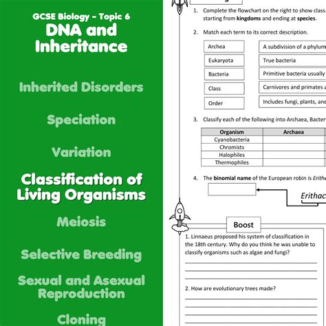 Image result for Classification System GCSE