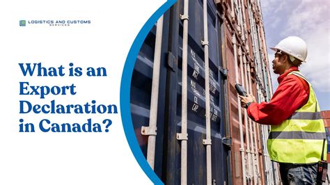 Export Declaration 的图像结果