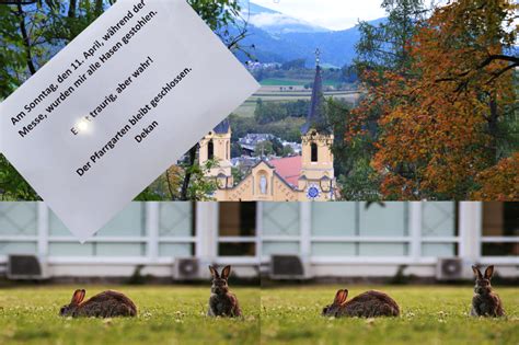 Der Kirche die Hasen gestohlen: „Nun, was sagt man dazu?“ - UnserTirol24