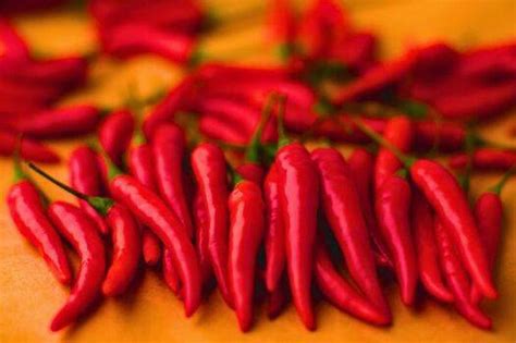 Mice and rats flee and will never return if you spray 1 common item all ...