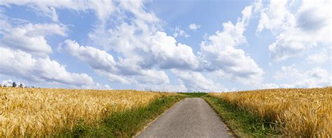 ALDI CR Performance 2020 | ALDI SOUTH Group