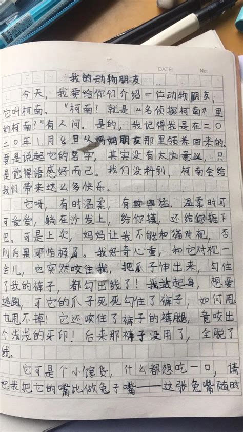 三年级春节作文怎么写,范文,100字_大山谷图库