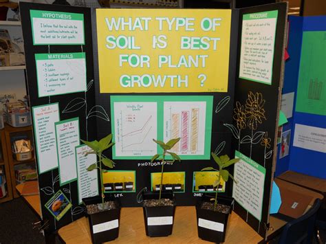 Science Fair Backboard Ideas at Daniel Gilmore blog