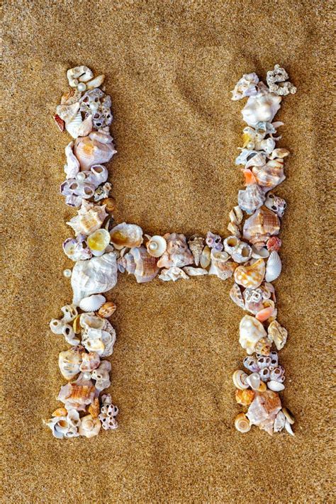 Image result for Leter H Shell