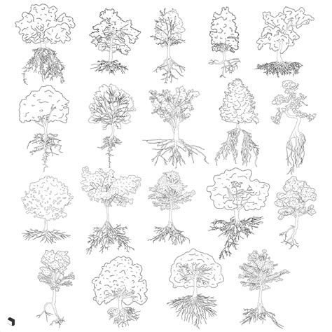 Cad Trees With Roots | Toffu Co | Tree line drawing, Architecture ...