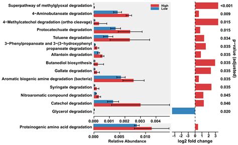 Predicted Bacterial Metabolic Landscapes of the Sumaco Volcano: A ...